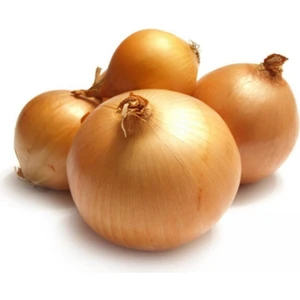 Geleneksel Ata Tohum Bankon Soğan Tohumu(50 Tohum)