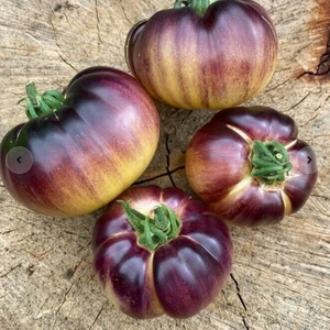 Mor Beyaz Great White Purple Domates Tohumu (15 Tohum)