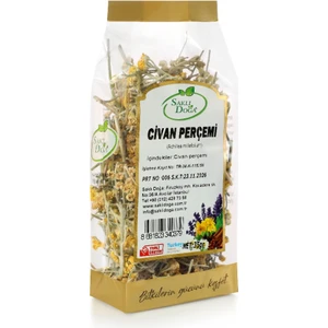 Premium Civan Perçemi 35 gr