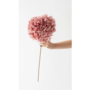 Güleç Yapay Çiçek Yapay Vazo Çiçeği Ortanca 75  cm  5 Dal Pembe