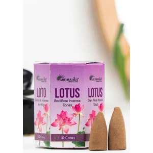 Lotus Geri Akış Konik Tütsü