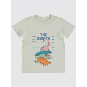 Civil Boys Erkek Çocuk Tişört 2-5 Yaş Açık Gri