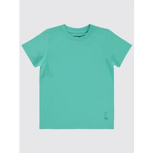 Civil Boys Erkek Çocuk Tişört 2-5 Yaş Mint