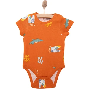 Hellobaby Erkek 2li Kısa Kol Body Erkek Bebek