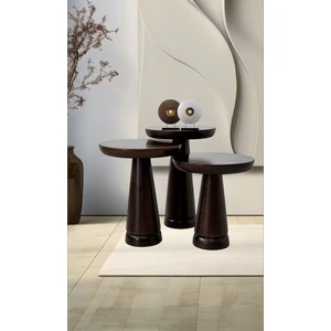 Aselya Home Doğal Ahşap 3'lü Set Mantar Yan Sehpa Koyu Ceviz Fiskos Zigon Çiçeklik