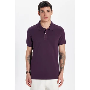 Erkek Slim Fit Dar Kesim Pamuk Mürdüm Polo Yaka Tişört