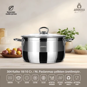 Saphire Paslanmaz Çelik İndüksiyon Uyumlu Cam Kapaklı Derin Tencere 20 cm