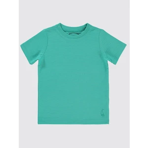 Civil Boys Erkek Çocuk Tişört 2-5 Yaş Mint