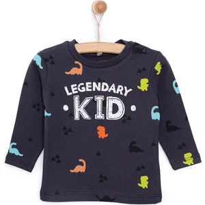 Basic Dinazor  Desenli Interlok  Uzun Kol Tshirt Erkek Bebek