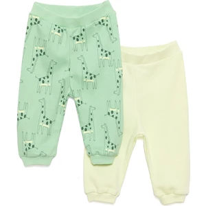 Basic Erkek Dinozor Desenli 2li Patiksiz Alt Erkek Bebek
