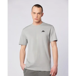 Sarey Tee Erkek Gri Regular Fit Tişört