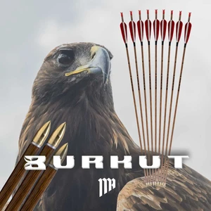 Bürküt Karbon Ok 400sp /12adet