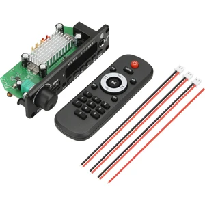 2X100W 12V Amplifikatör Ses Çalar Bluetooth 5.0 Mp3 Dekoder Kartı Mp3 Çalar Araba Fm Radyo Modülü Tf USB Mikrofon Kayıt Çağrı (Yurt Dışından)