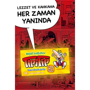 Karışık Meyve Aromalı Sakız 27 gr - 12 Adet
