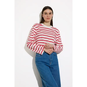 Regular Fit Çizgili Bisiklet Yaka Uzun Kollu Tişört Tunik E6884AX25SP