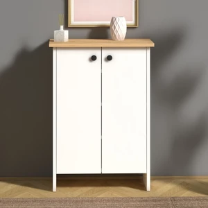Tdesigno Fulya 4 Raflı 2 Kapaklı Ayakkabı Dolabı-Ayakkabılık-Çok Amaçı Dolap Beyaz 60  cm