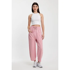 Alexandergardı Bol Kesim Jogger Şalvar Pantolon