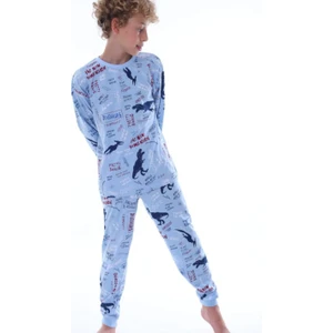 Alkın Kids Erkek Çocuk  Pamuklu Mavi Dinozor Desen Pijama Takımı