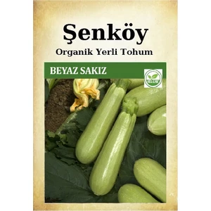 Yerli Beyaz Sakız Kabak Tohumu Doğal Ata Dolmalık Beyaz Kabak Tohumu Pakette 10 gr 80 Adet