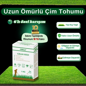 Çok Yıllık Çim Tohumu 1 kg Uzun Ömürlü 6'lı Karışım Gölge ve Aşırı Güneşli Alan Uygun Yetiştirilmesi Kolay 4 Mevsim Yeşil