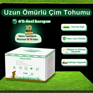 Çok Yıllık Çim Tohumu 5 kg Uzun Ömürlü 6'lı Karışım Gölge ve Aşırı Güneşli Alan Uygun Yetiştirilmesi Kolay 4 Mevsim Yeşil