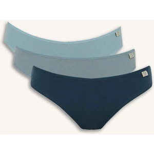 Ribana 3'lü Brief Külot-Fall in Love E7576AX25SP