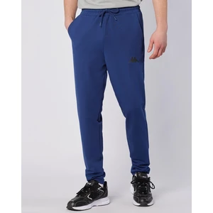 Sarey Jog Erkek Lacivert Regular Fit Eşofman Altı