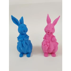 Dekoratif Tavşan Çifti