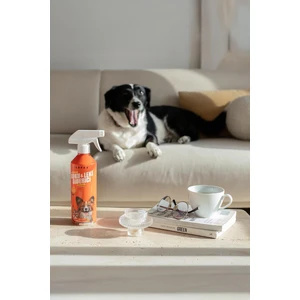 CARPEX 500 ML EVCİL HAYVAN KOKU VE LEKE