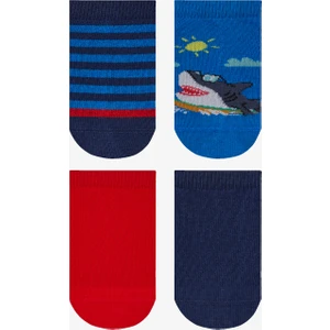 Erkek Çocuk Shark 4lü Çok Renkli Patik Çorap