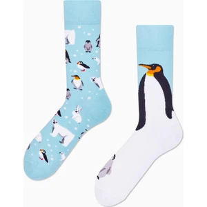 Carnaval Socks Sağlı Sollu Penguen Desenli Renkli Çorap