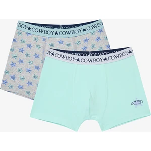 Erkek Çocuk Rodeo Club 2li Çok Renkli Boxer