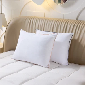 Uykucu Mikrojel Çiftli Tencel™ Yastık