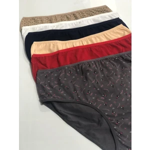 Trend Dress Kadın Pamuklu Likralı Yüksek Bel (Büyük Beden) Külot 6lı