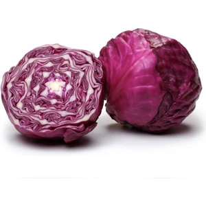 Ata Tohum Geleneksel Kırmızı Lahana Tohumu (100 Tohum)