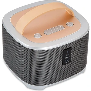 TR City Trcity BT-3100 15 W Usb-Sd-Fm Radyolu Bluetooth Hoparlör