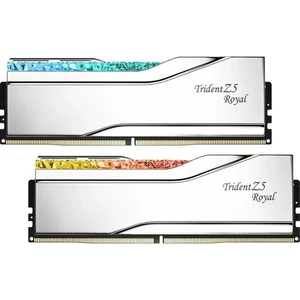 Gskıll 48GB (2x 24GB) Ddr5 8200MHZ CL40 Rgb Dual Kıt Pc Ram Trıdent Z5 Royal Sılver F5-8200J4052F24GX2-TR5S