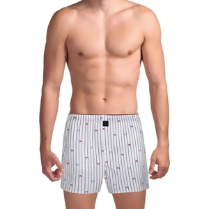 The Don Poplin Erkek Boxer Yelken Rüzgarı Beyaz Çizgili