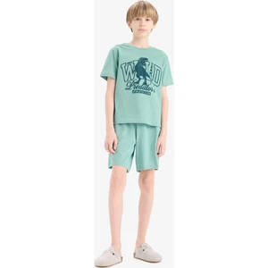 Erkek Çocuk Pijama Takımı Baskılı Kısa Kollu Üst Beli Lastikli Şort E6649A825SM