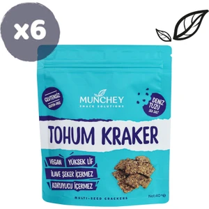 6'lı Sade Tohum Kraker 240 gr