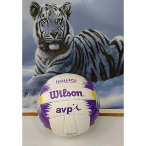 Voleybol Topu