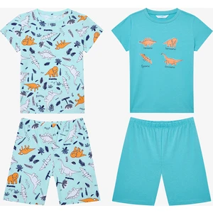 Erkek Çocuk Sleepysaurus 2li Çok Renkli Pijama Takımı