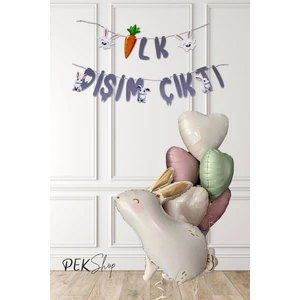 Diş Buğdayı Ilk Diş Partisi Balon Seti Tavşan ve Kalp Balonlu Set