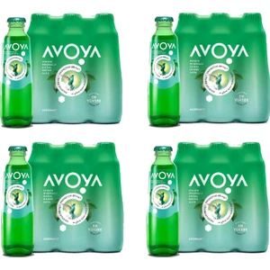 Sade Maden Suyu 200 ml x 24