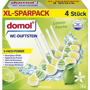 Wc Kokusu Blok Limon Power 4X55 gr
