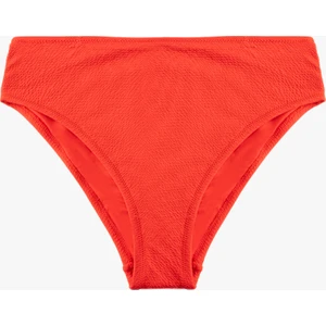Astarlı Yüksek Bel Dokulu Bikini Altı