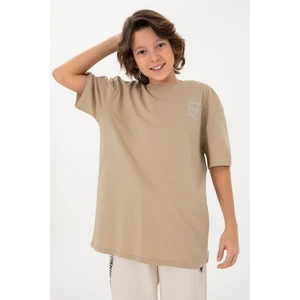 U.s. Polo Assn. Erkek Çocuk Kum Tişört Basic 50295447-VR085
