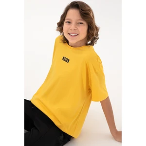U.s. Polo Assn. Erkek Çocuk Safran Tişört 50298982-VR043