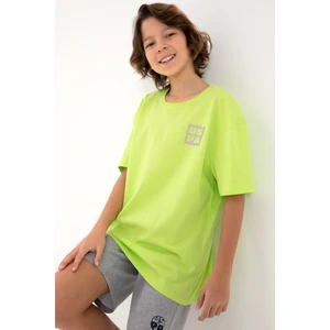 U.s. Polo Assn. Erkek Çocuk Elma Yeşili Tişört Basic 50295447-VR020