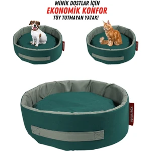 XPERMATE Sünger Simit Küçük Irk Köpek Yatağı Ve Kedi Yatağı 45 Cm Yeşil Gri